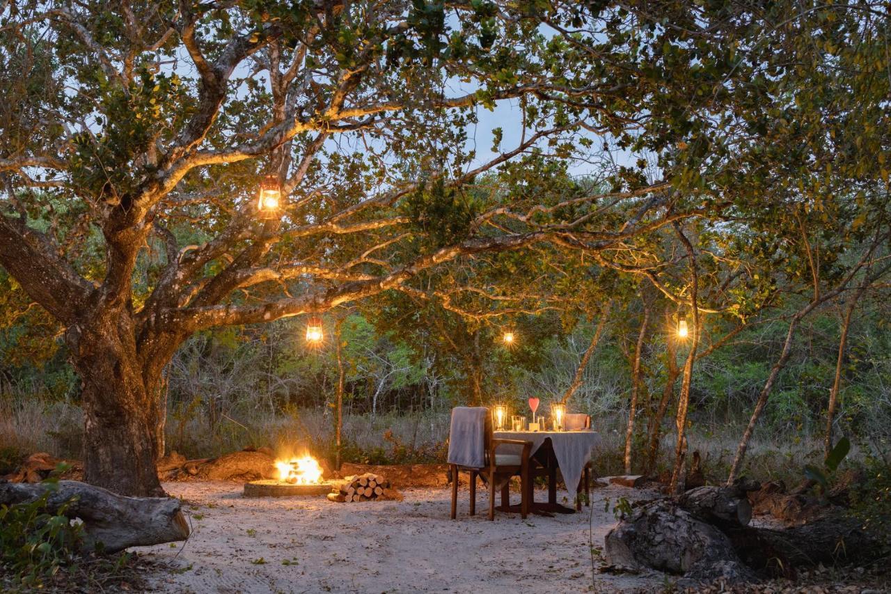 Kosi Forest Lodge Manguzi Exteriör bild