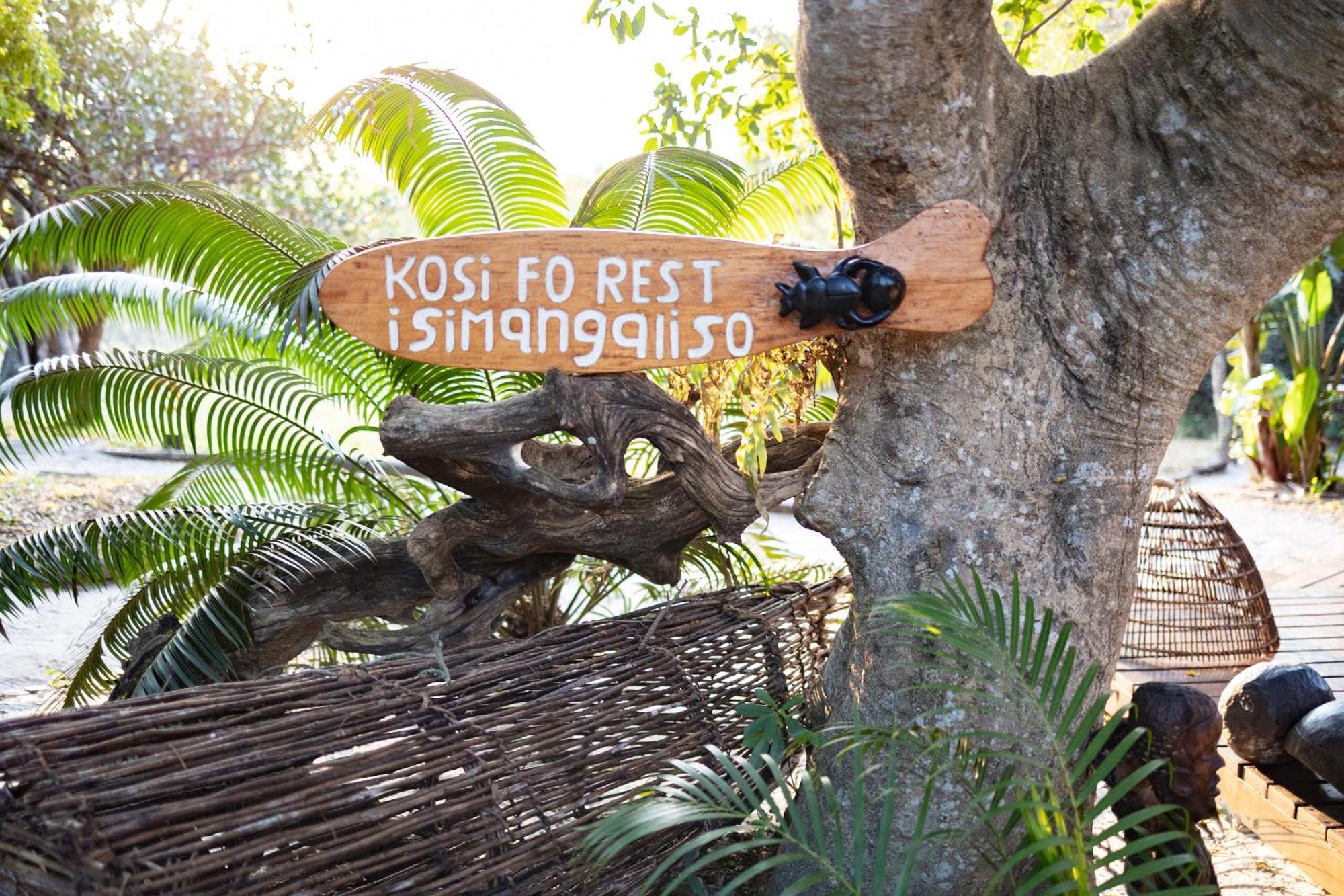 Kosi Forest Lodge Manguzi Exteriör bild