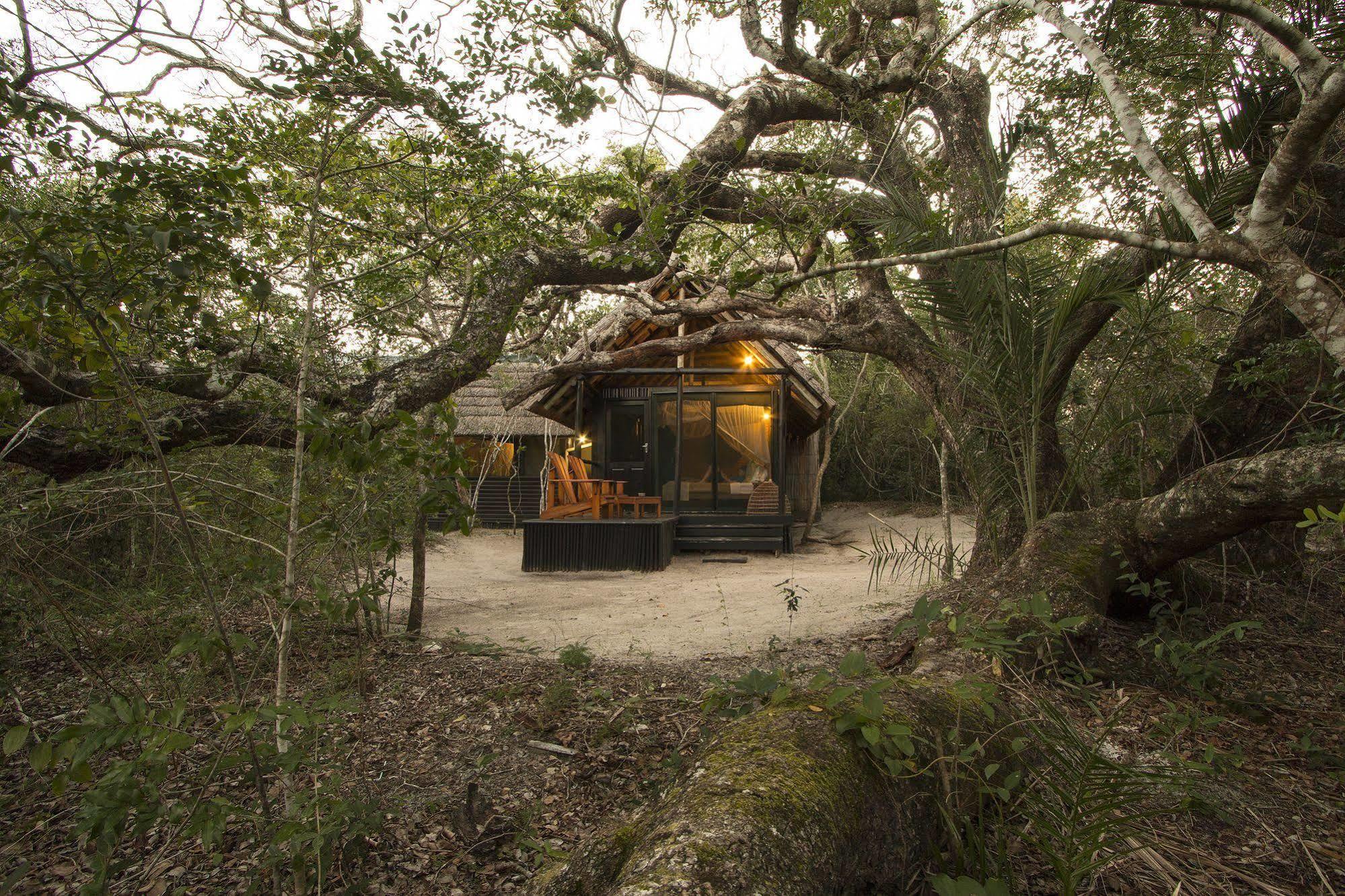 Kosi Forest Lodge Manguzi Exteriör bild