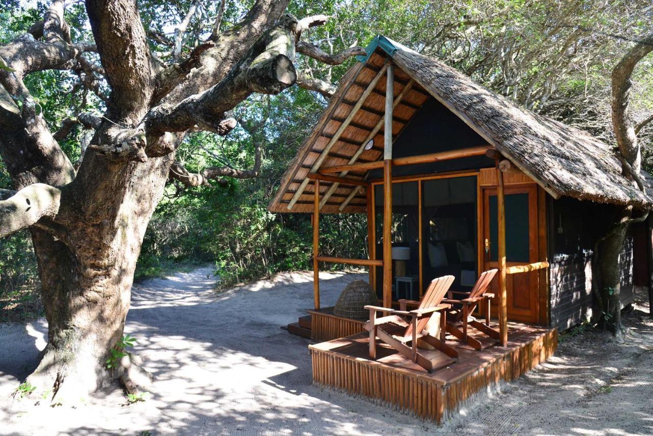 Kosi Forest Lodge Manguzi Exteriör bild
